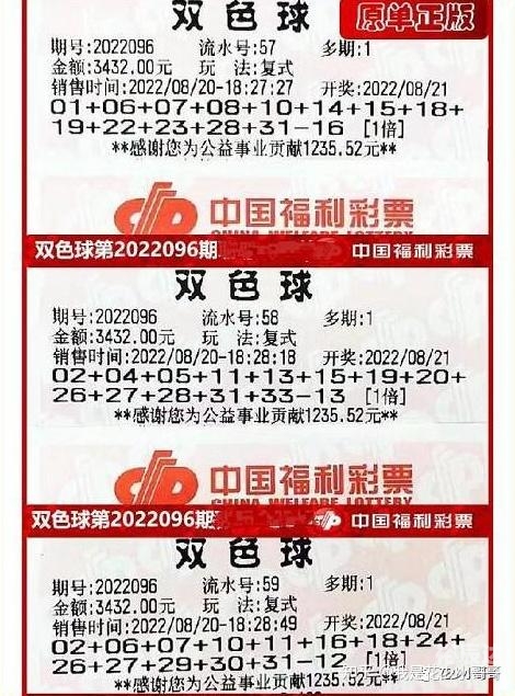 双色球软件破解版，风险与选择-第2张图片