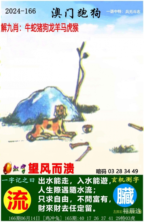管家婆精准期期选一肖香港管家婆精准期期选一肖香港，智慧生活新篇章-第2张图片