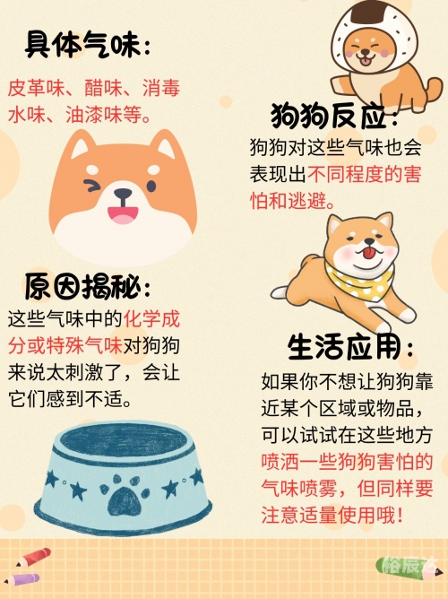 跑狗网站的跑狗论坛跑狗论坛新一代崛起-第2张图片