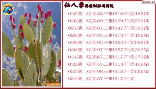 3d大本营的胆码预测三D大本营，探索沉浸式体验的新天地-第2张图片