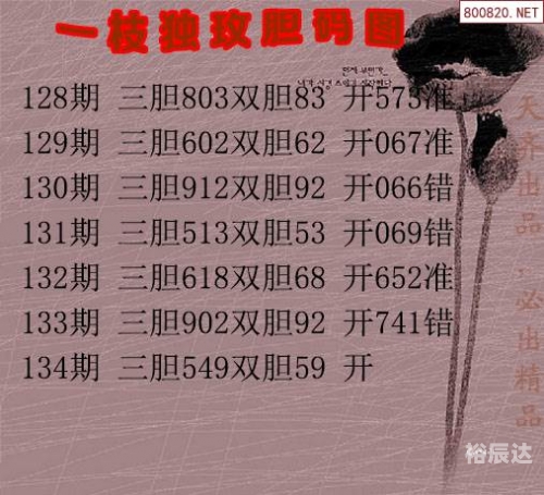 3d大本营的胆码预测三D大本营，探索沉浸式体验的新天地-第1张图片