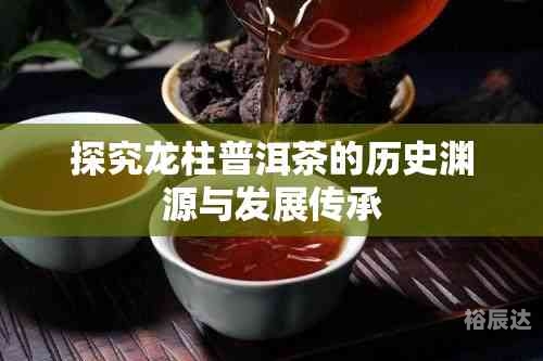 中国普洱茶，千年传承的茶文化瑰宝-第2张图片