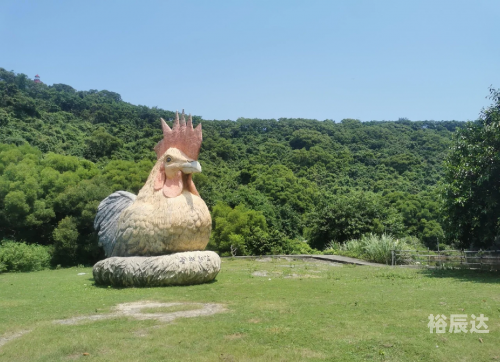 放鸡岛旅游放鸡岛旅游攻略-第2张图片