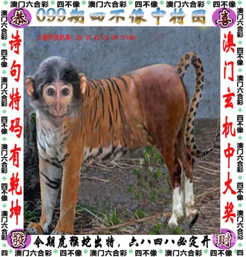2025年正版资料免费大全2024新澳门资料最精准免费大全-第2张图片