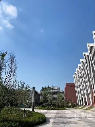 河东下载，便捷高效的资源获取新体验-第1张图片