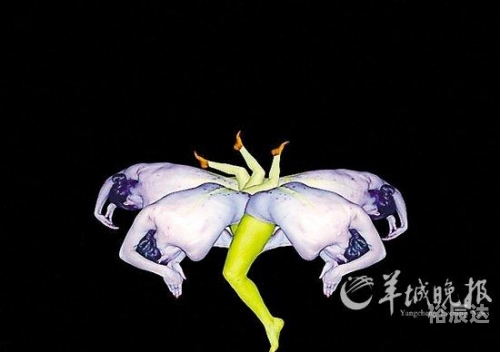 人体艺术网站 知乎中国人体艺术网站，探索艺术之美与健康之秘