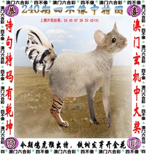 管家婆2023正版资料图片大全