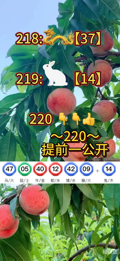 澳门资料大全正版资料查询?澳门资料大全正版资料查询