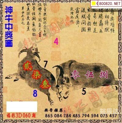 福彩3d白天鹅图库福彩3d白天鹅图库，探索神秘彩票世界-第1张图片