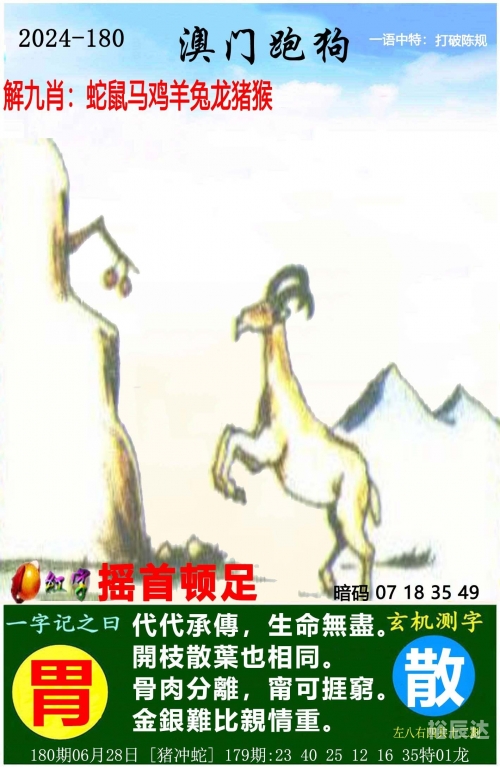 新门内部资料精准大全新门内部资料精准大全-第2张图片