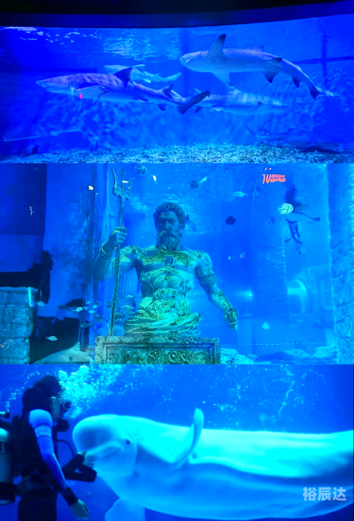 大海是猪大海是猪的世界-第2张图片