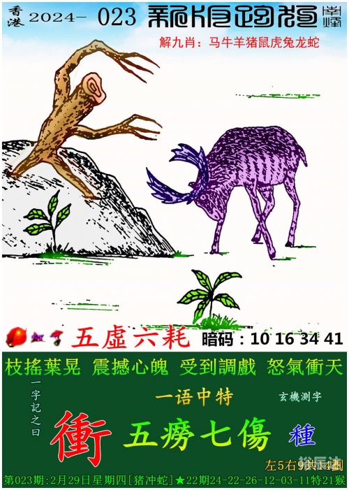 澳门开奖记录2024，回顾与展望-第2张图片