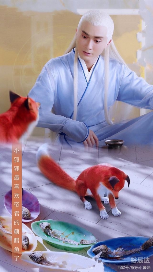 红狐娱乐，娱乐产业的璀璨明珠