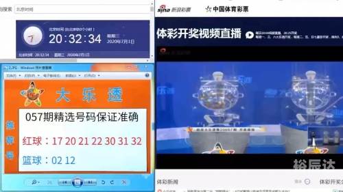 2023年香港开奖结果是什么2023年香港开奖结果揭晓，幸运与惊喜交织-第3张图片