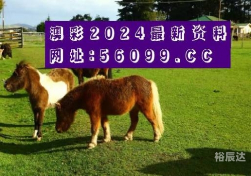 今天新澳门开奖结果2024年今天新澳门开奖结果揭晓-第2张图片