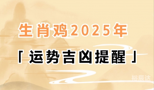 正版资料大全全年2019小说2正版资料大全，2019小说全年精华