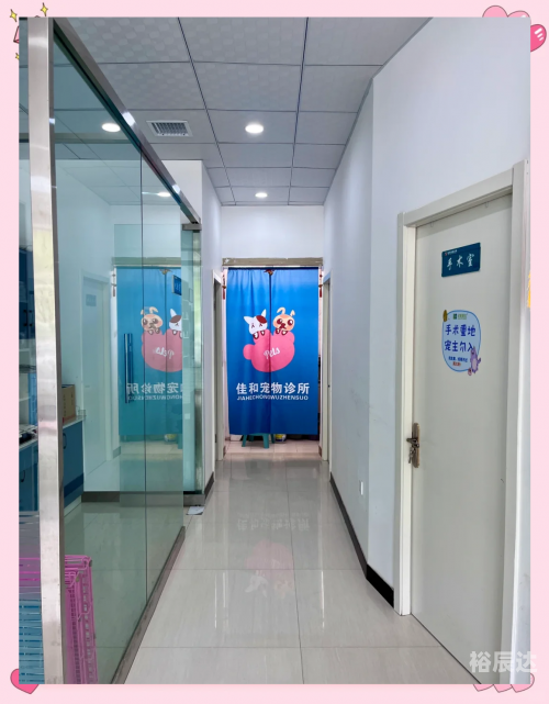 探索711医院，医疗技术与人文关怀的融合