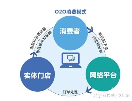 金鹰网站，引领网络新时代-第3张图片