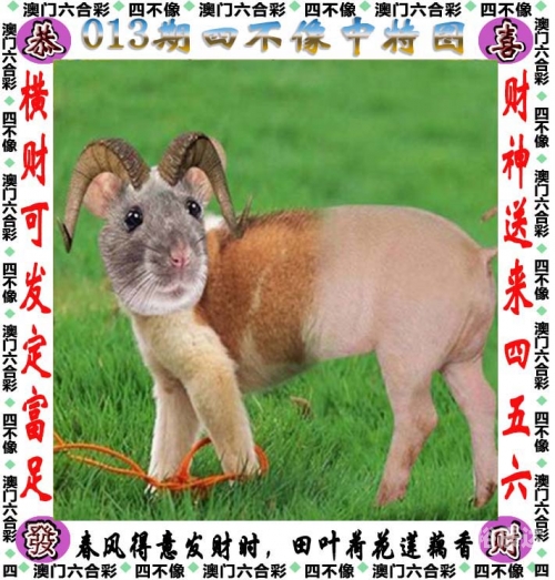 626969澳彩网址资料大全正版app下载626969ACOM澳彩网址综合查询-第2张图片