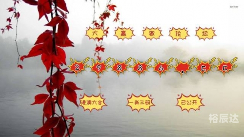 白姐一肖中特马资料大全