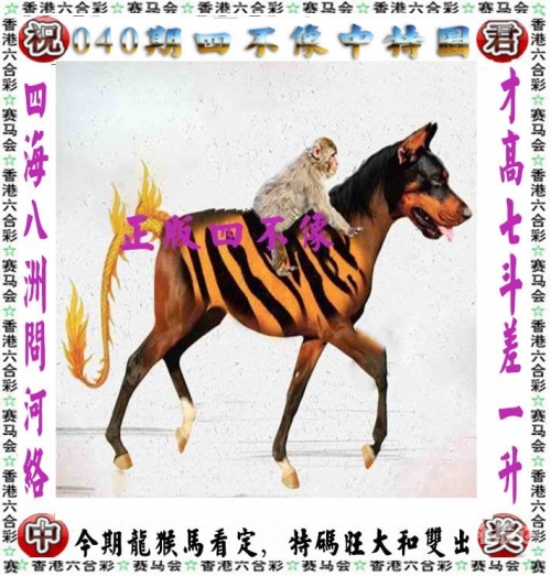 2024年香港今日开奖结果查询-第2张图片