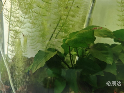 小鱼儿主页，探索其多彩世界-第3张图片