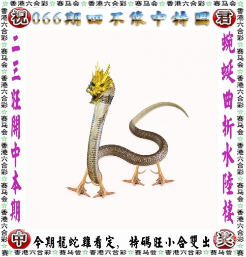 三肖中期期淮三肖中期期淮，预测与策略-第3张图片