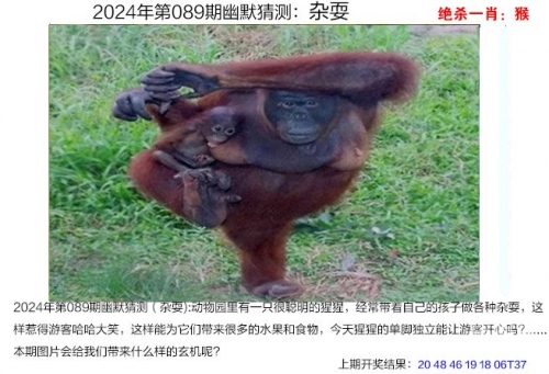 2021年澳门码开奖结果记录2021年澳门码开奖结果记录-第3张图片
