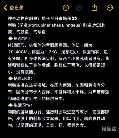 吼吼鲸，海洋中的神秘生物-第2张图片