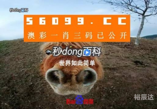 澳门公开一肖一码免费资料-第2张图片