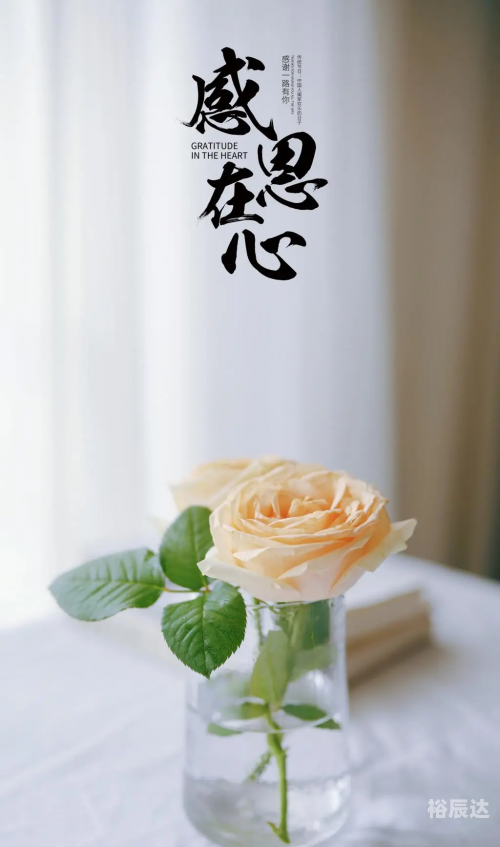 12月5日是感恩节的日子。这一天，人们会通过各种方式来表达对家人、朋友和社区的感激之情。感恩节是一个重要的传统节日，它不仅仅是一个庆祝节日的日子，更是一个提醒人们珍惜当下、感恩生活的重要时刻。