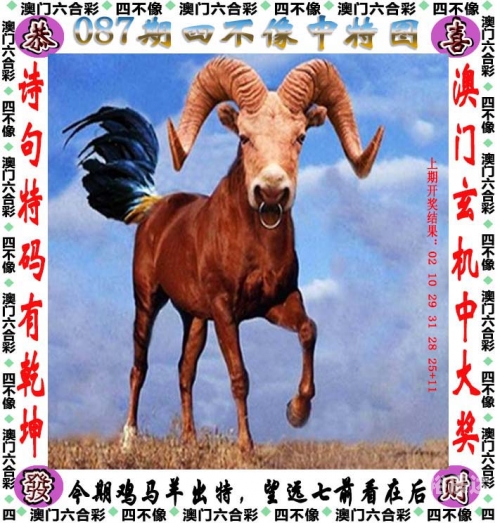 2024新奥历史开奖记录56期-第3张图片