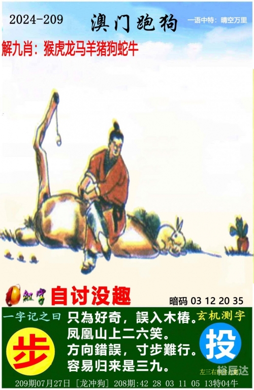 澳门王中王100%的资料2024年澳门王中王，100%资料详解-第3张图片