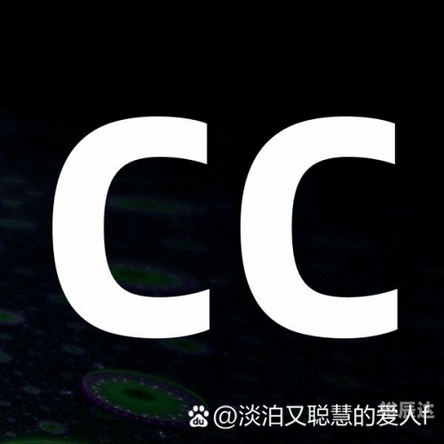 彩之网互动区彩之网互动区，探索网络交流的新天地
