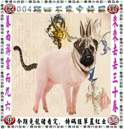 2023澳门最新开奖结果记录澳门2023最新开奖结果回顾-第2张图片