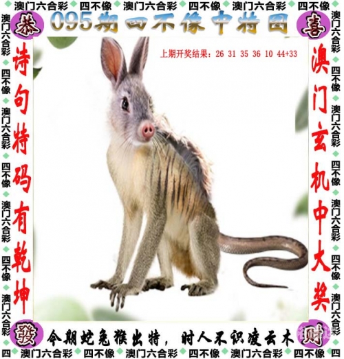 2023澳门最新开奖结果记录澳门2023最新开奖结果回顾-第1张图片