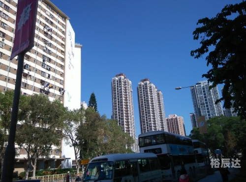 今天香港开什么特马今天香港开特马盛况空前