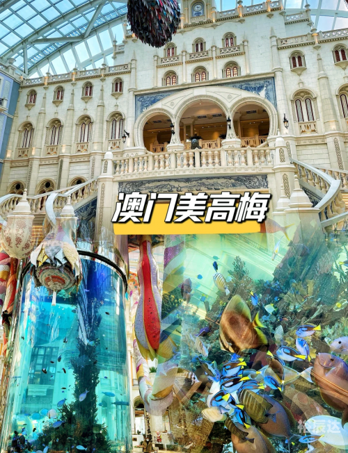 澳门最准资料免费网站推荐-第2张图片