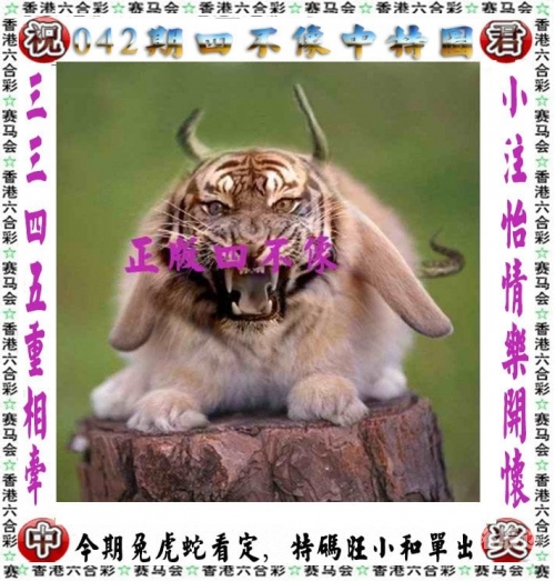 今晚澳门2023最准的资料今晚澳门2023最准资料，探寻市场趋势与投资机会