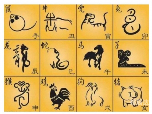 2019生肖号码表2019生肖号码表-第3张图片