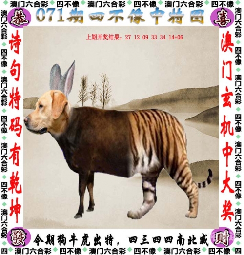 管家婆六肖中特网，神秘与实用的数字世界