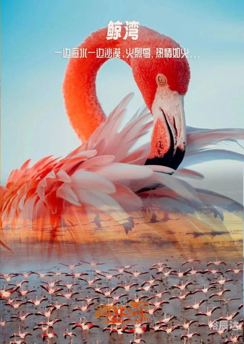 今晚特马图资料下2025今晚特马图，一场独特的探索之旅-第2张图片