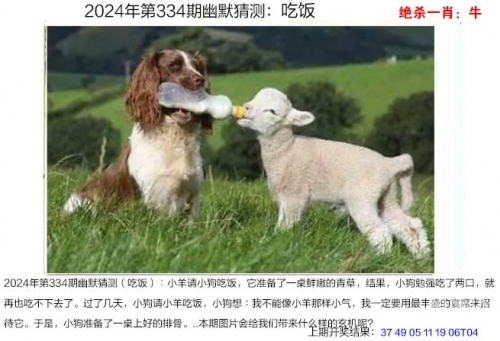2024新奥历史开奖记录香港2024新奥历史开奖记录，香港篇