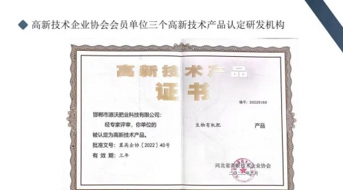 红叶高手联盟，探索卓越之路-第1张图片