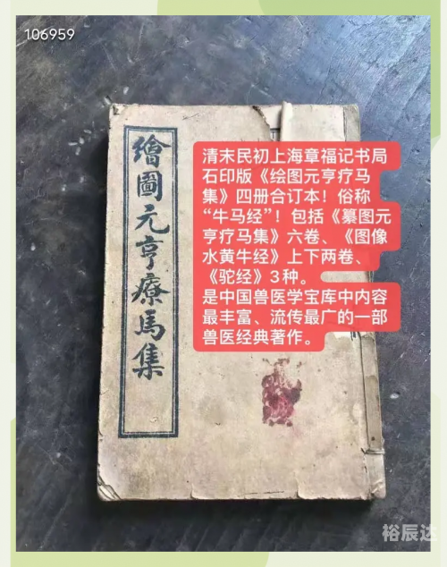 马经258图库马经258图库，探索古代马匹知识与图谱的宝库-第2张图片