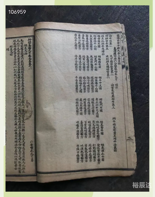 马经258图库马经258图库，探索古代马匹知识与图谱的宝库