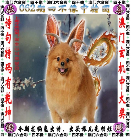 黄大仙三肖期期准黄大仙精选三肖三码必开-第2张图片