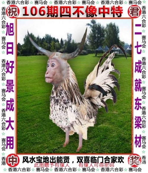 今晚买四不像必中一图今晚买四不像必中