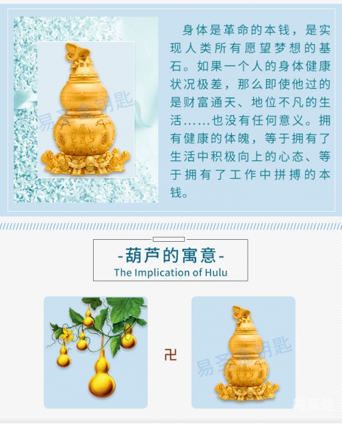 超级天医超级天医，探寻生命奥秘的神秘力量-第2张图片
