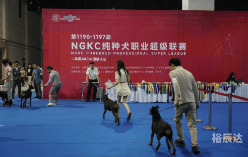 香港2024正版免费资料，正版资料引领市场新潮流